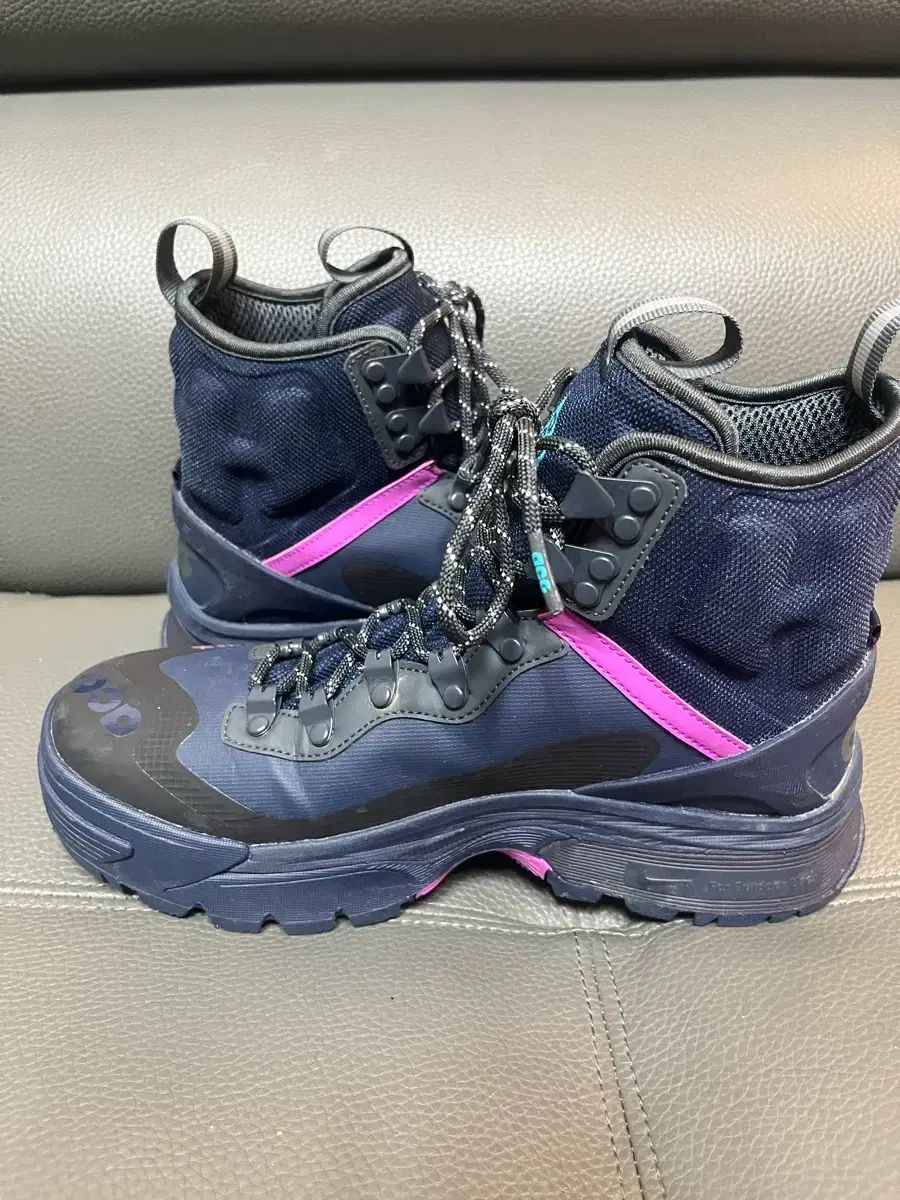 ナイキACGガイアドーム250