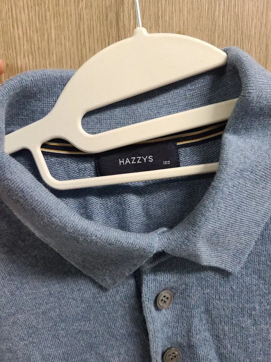 HAZZYS へジス ウール100 KARA（カラ） ニットTシャツ 100