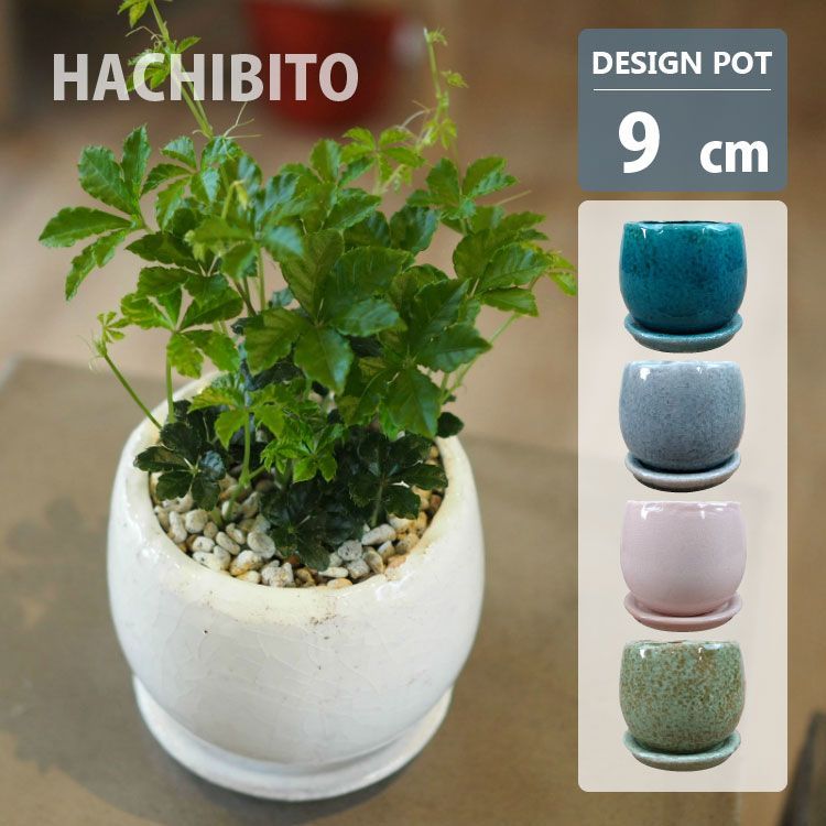 新品 植木鉢 おしゃれ 陶器鉢 釉薬がきれいな卵型ポット MM038-090 3号