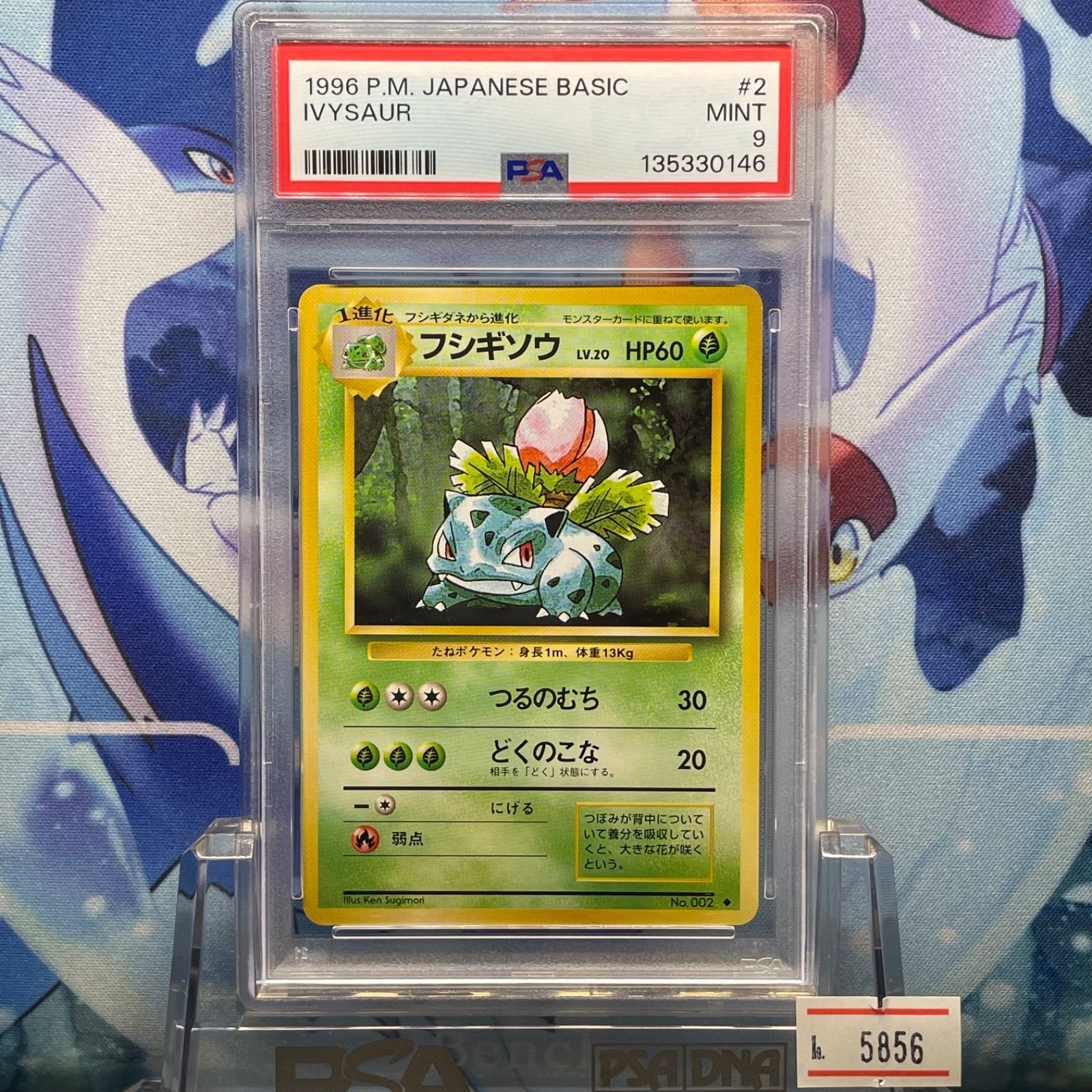 【CGC9.5】フシギソウ 旧裏 1996 第1弾 拡張パック ≒PSA10相当 PSA9 フシギソウ 再販 U 旧裏 PMCG LV.20 拡張パック第1弾 再販 002