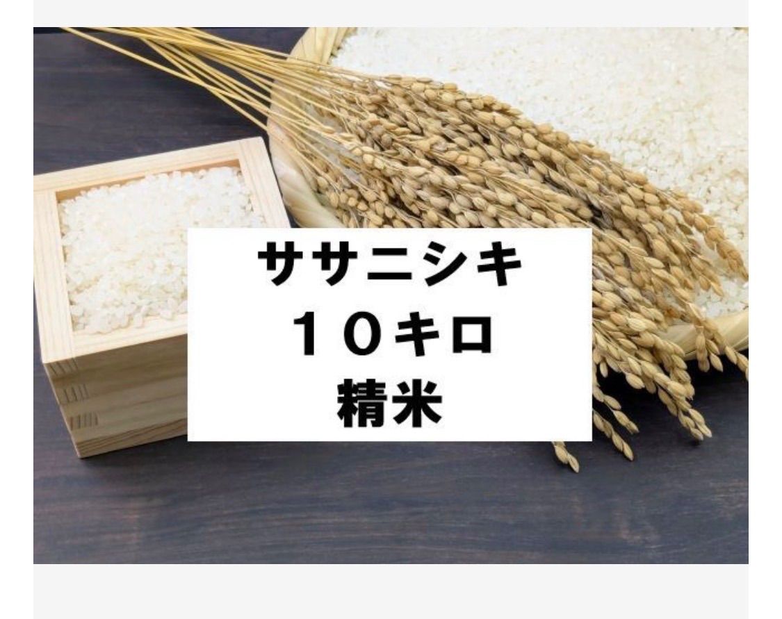 令和7年産 山形県産ササニシキ 10kg 精米 送料無料 - メルカリ