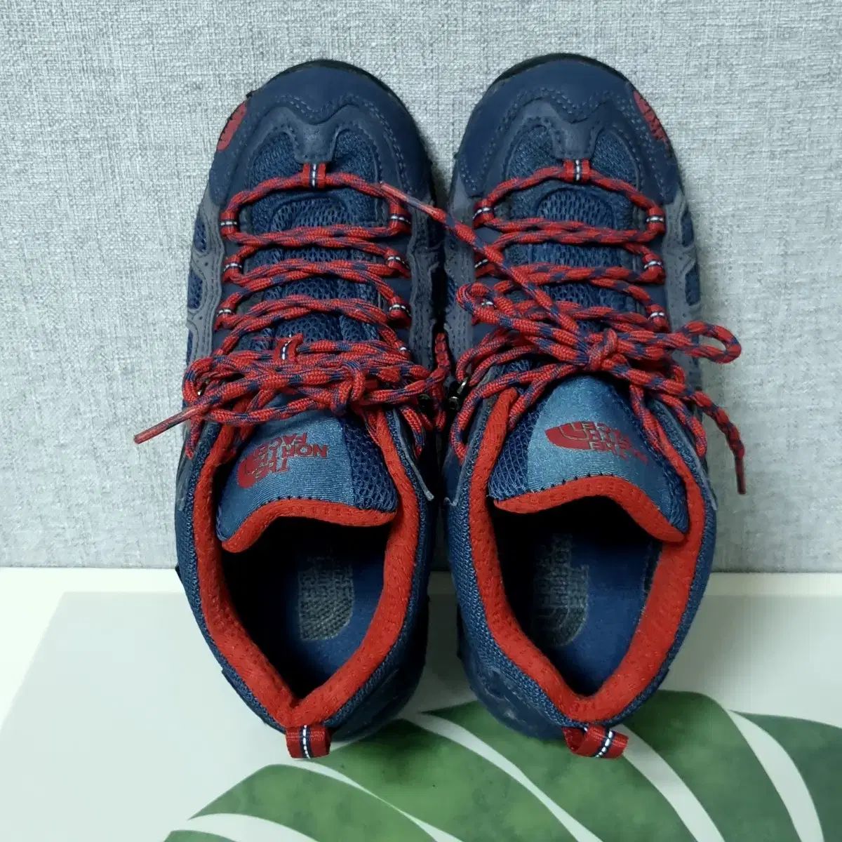 ザノースフェイス H