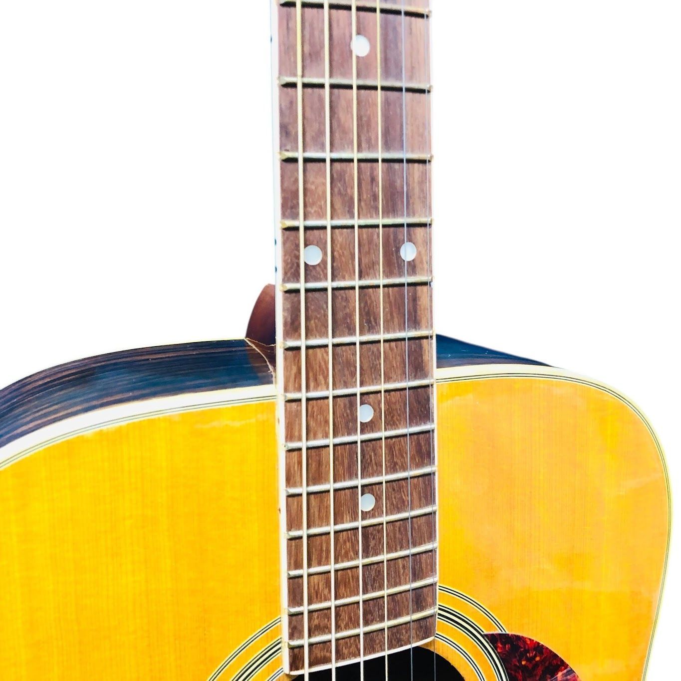 PRO MARTIN（プロマーチン） W300 アコースティックギター - メルカリ