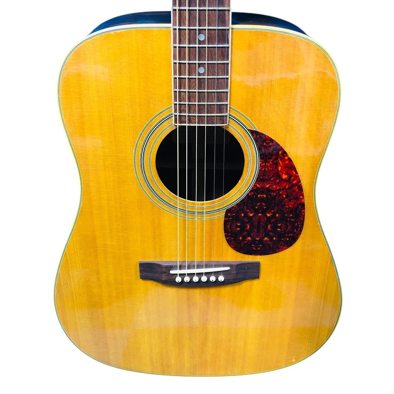 PRO MARTIN（プロマーチン） W300 アコースティックギター - メルカリ