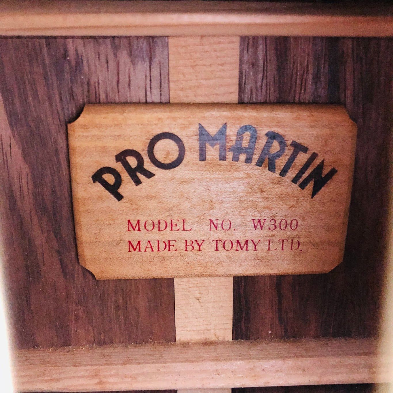 PRO MARTIN（プロマーチン） W300 アコースティックギター - メルカリ