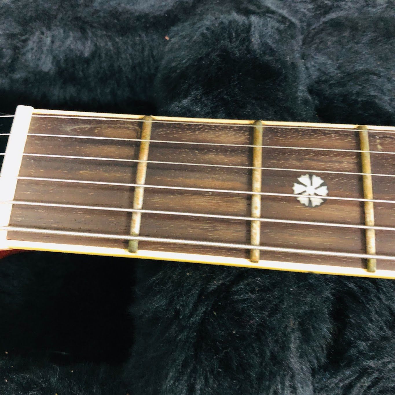 Tornado by Morris トルネード Z-2HG（ZⅡ-HG） 純正ハードケース付き