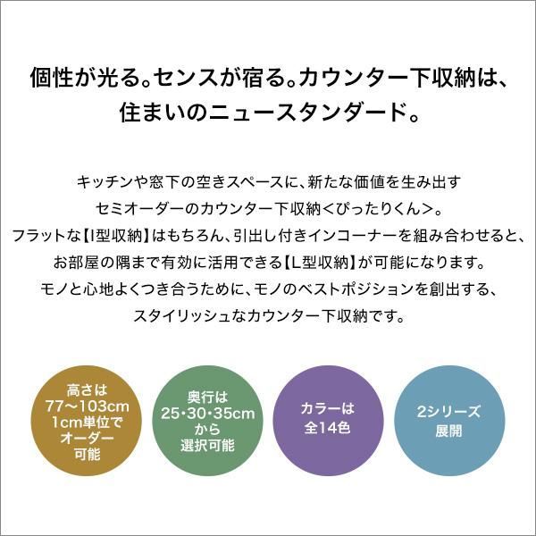 種類11:ホワイトシカモア木目（艶消） セミオーダーカウンター下収納ぴったりくん エンドコーナー右置き 奥行35cm 引戸シリーズセミオーダーカウンター下収納ぴったりくん 引出し付き