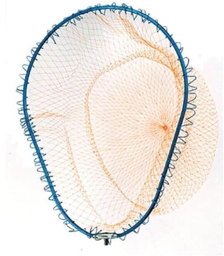 DAITOU ダイトウブク ファインフレーム L ブルー