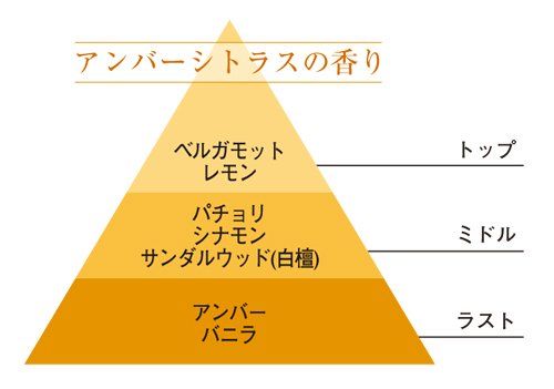 エステバン アンバー デコラティブラタンブーケ お部屋用芳香剤