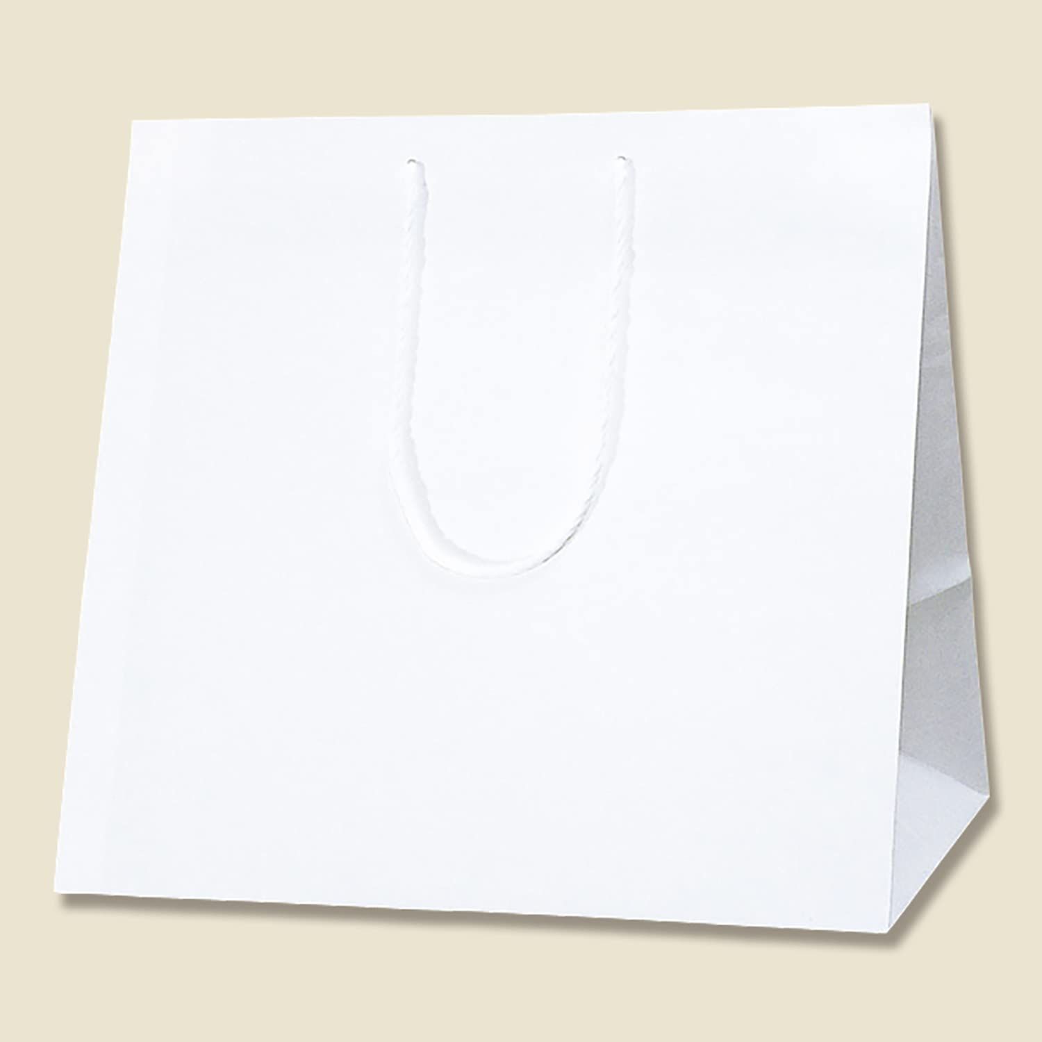 HEIKO 紙袋 アレンジバッグ L 白無地 1ケース 入 5袋 合計