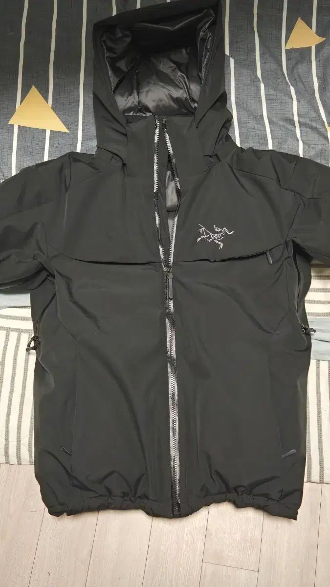 ARC TERYX アークテリクス ダウン ジャケット