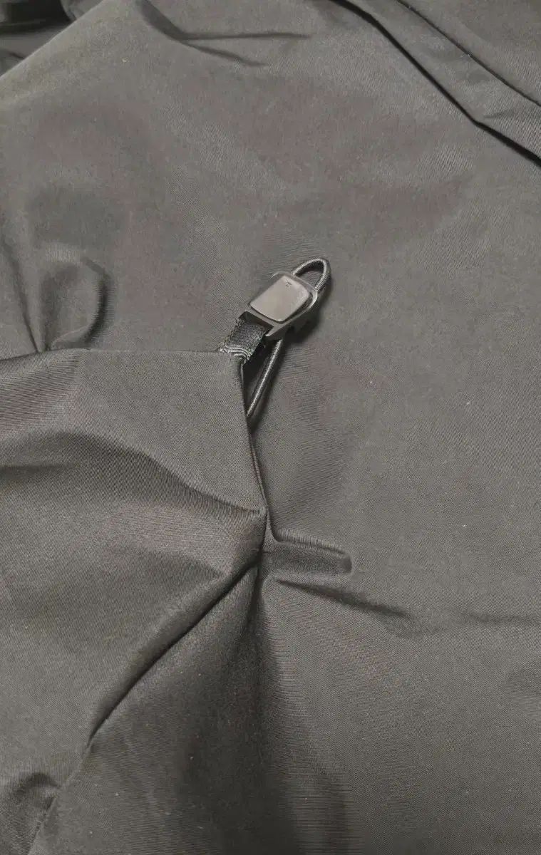 アークテリクス ダウン