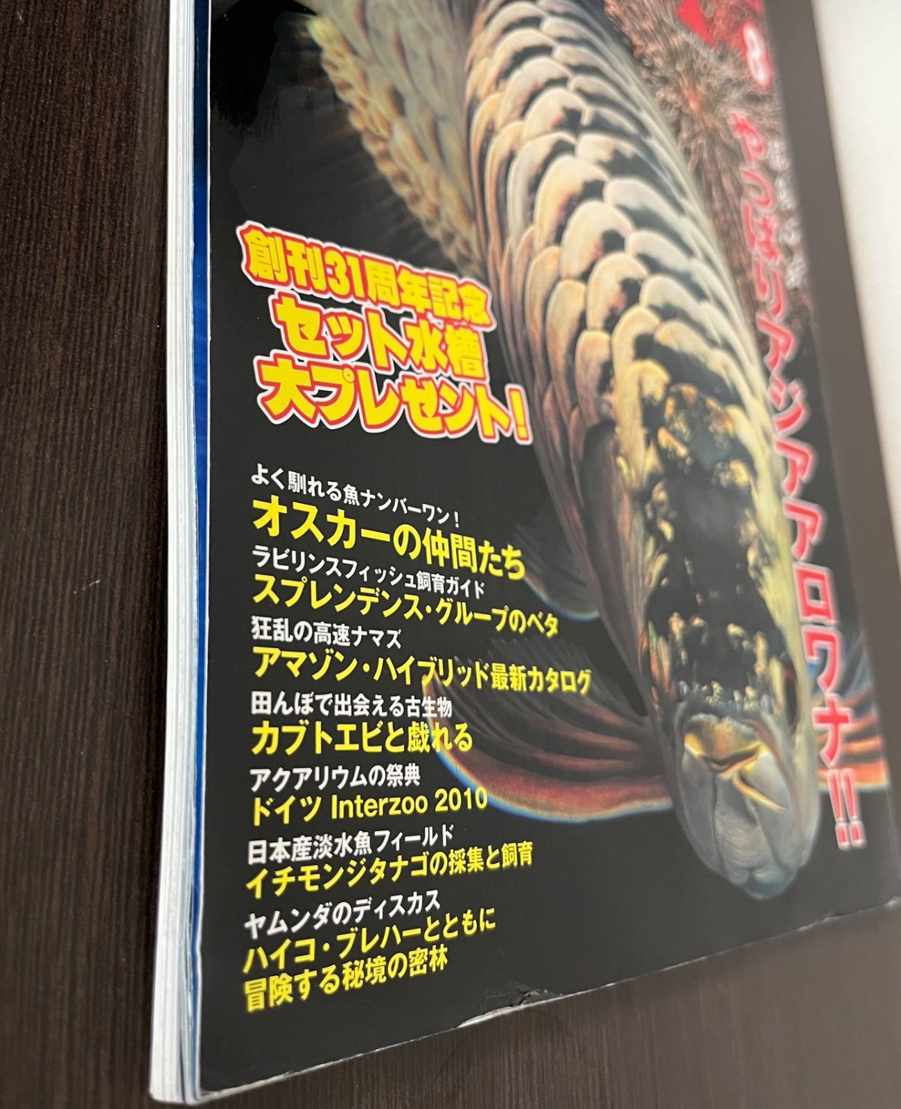 アロワナライブ 創刊号〜9巻 9冊セット 【公式通販】
