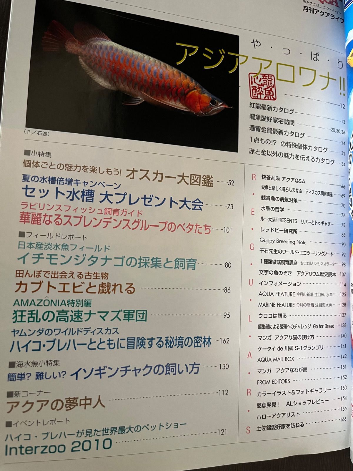 アロワナライブ 創刊号〜9巻 9冊セット 【公式通販】