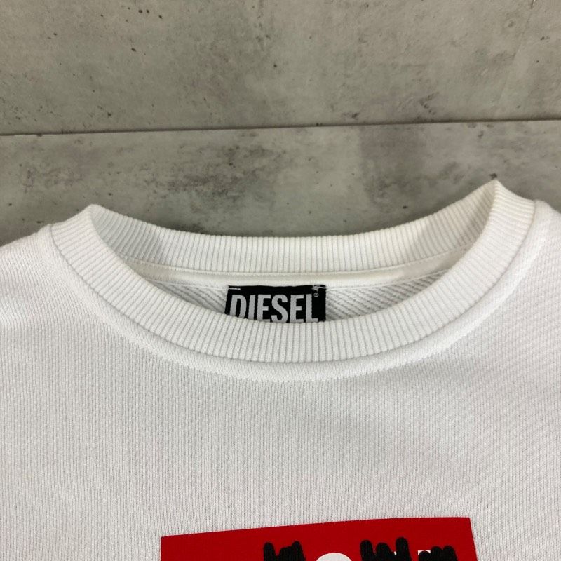 DIESEL ディーゼル クルーネック スウェット トレーナー F-ANGS-B3 
