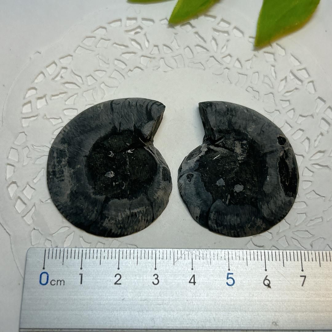 E17921】ブラックアンモナイト アンモナイト 黒い マダガスカル 赤鉄鉱
