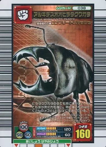 中古】ムシキング 038[銅]：アルキデスオオヒラタクワガタ - メルカリ