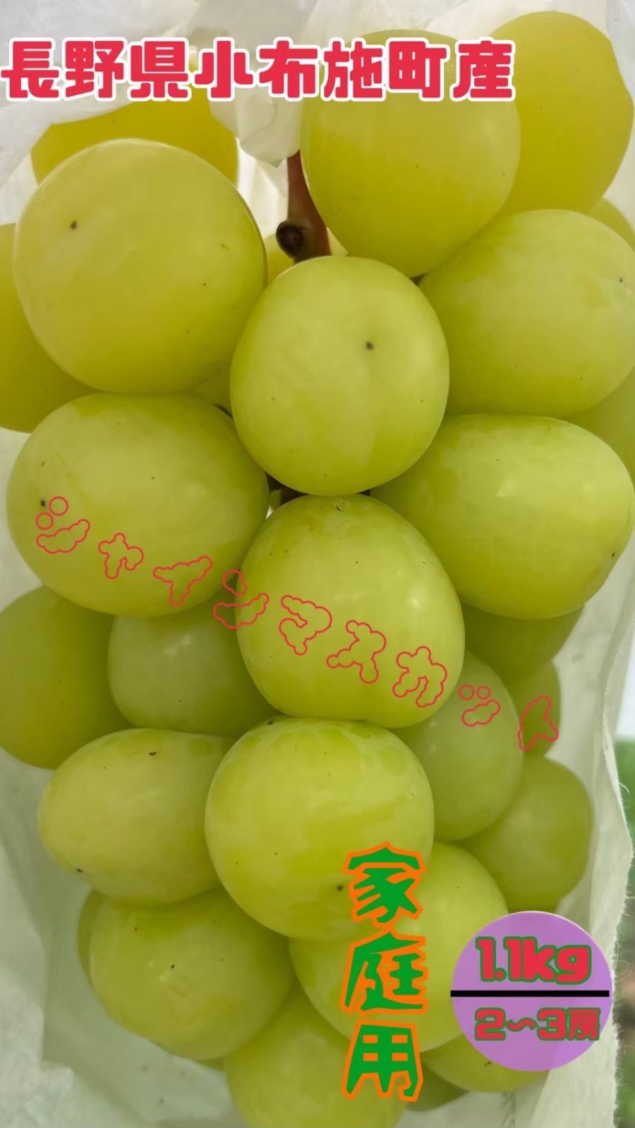 【超メルカリ市対象商品】シャインマスカット4房約2.4kg 長野県産】シャインマスカット 1.1kg 9月26日～発送 - メルカリ