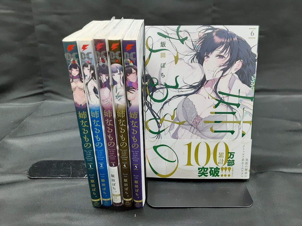 姉なるもの 全巻セット 1～6巻セット 状態：非良い - メルカリ