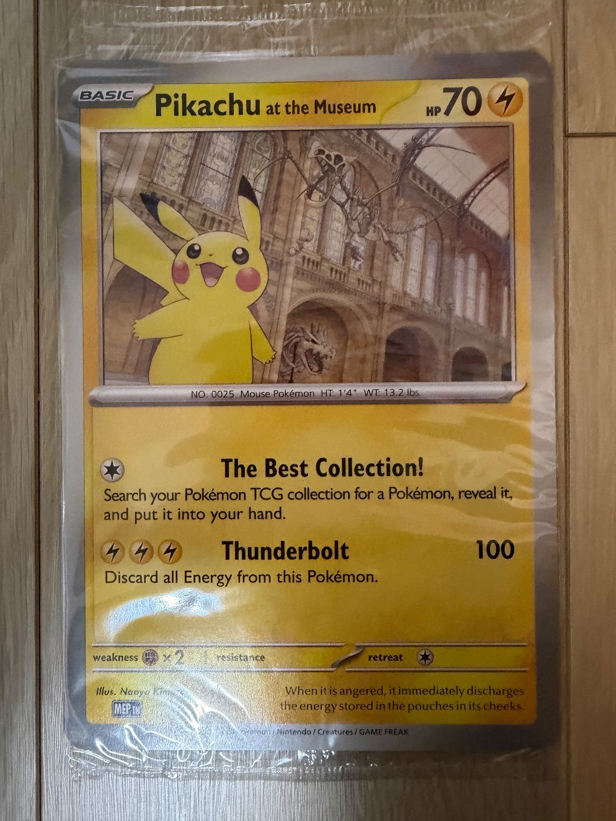 Pikachu at the Museum ロンドン自然史博物館 ピカチュウ F - メルカリ