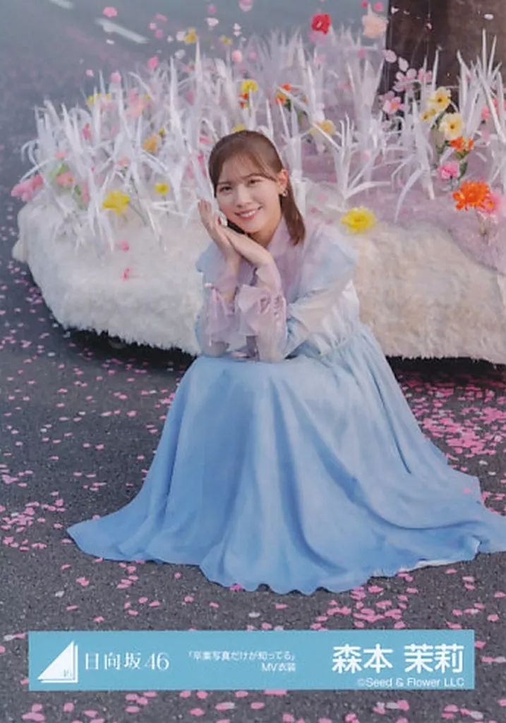 中古】生写真(乃木坂46) 森本茉莉/座り・桜/日向坂46ランダム生写真
