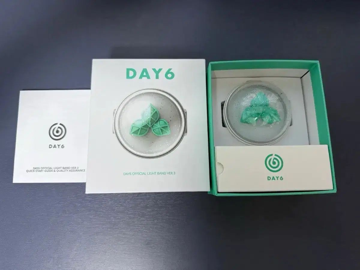 DAY6 OFFICIAL LIGHT BAND Day6 ペンライト 3世代 (使用一回しかしてい