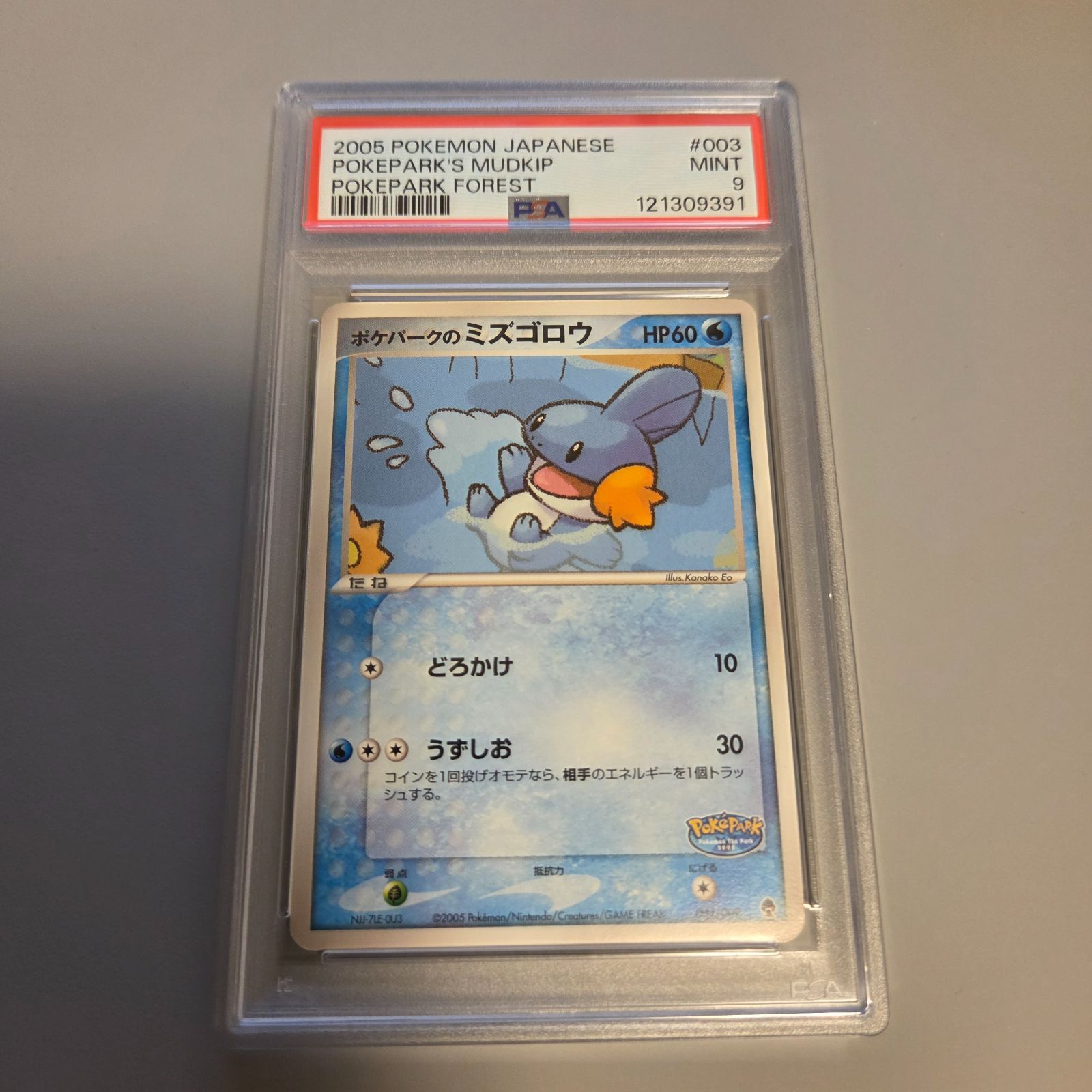 ポケパークのミズゴロウ PSA9 ポケパークプレミアムファイル 003/009