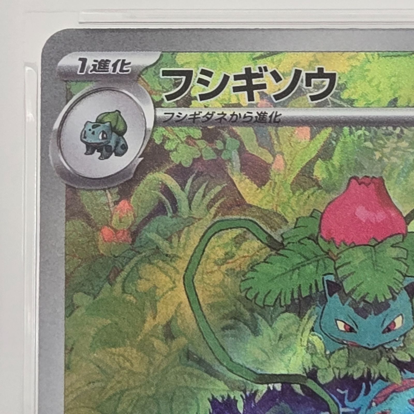 【PSA10】フシギソウ AR 167/165 sv2a ポケモンカード151 PSA10】フシギソウ AR SV2a ポケモンカード151 167/165 - メルカリ