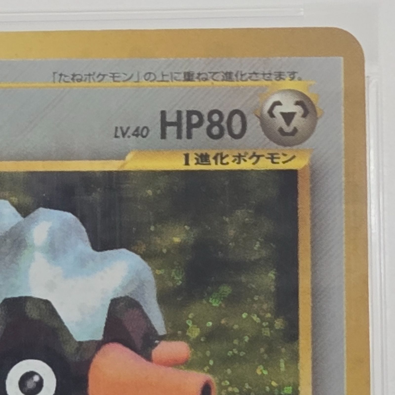 PSA10】フォレトス 旧裏 neo2 No.205 ポケモンカード neo 拡張パック