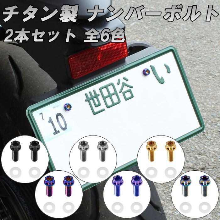 チタン ナンバーボルト 2本セット M6×15 バイク オートバイ 錆びない