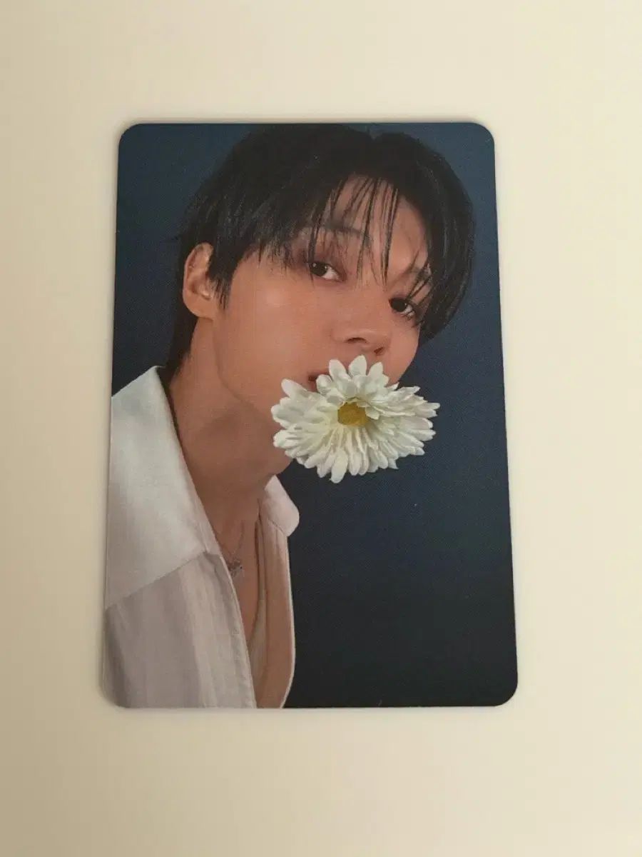 ATEEZ ウヨン Apple Music 未公開トレカ (누가꽃이게 ver) - メルカリ