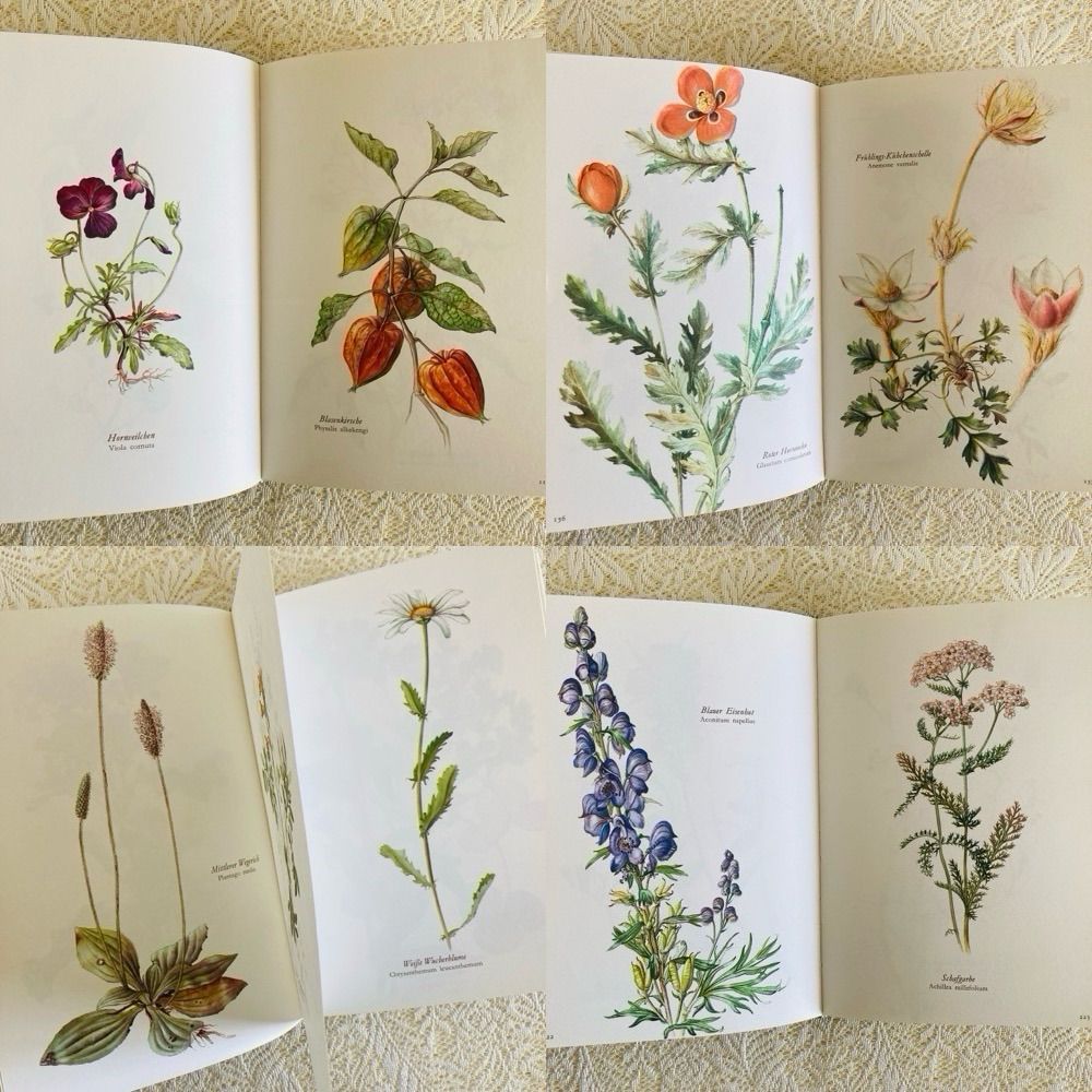 すずらん装丁の植物図鑑 美しい植物画304点収録 洋書・古書 - メルカリ