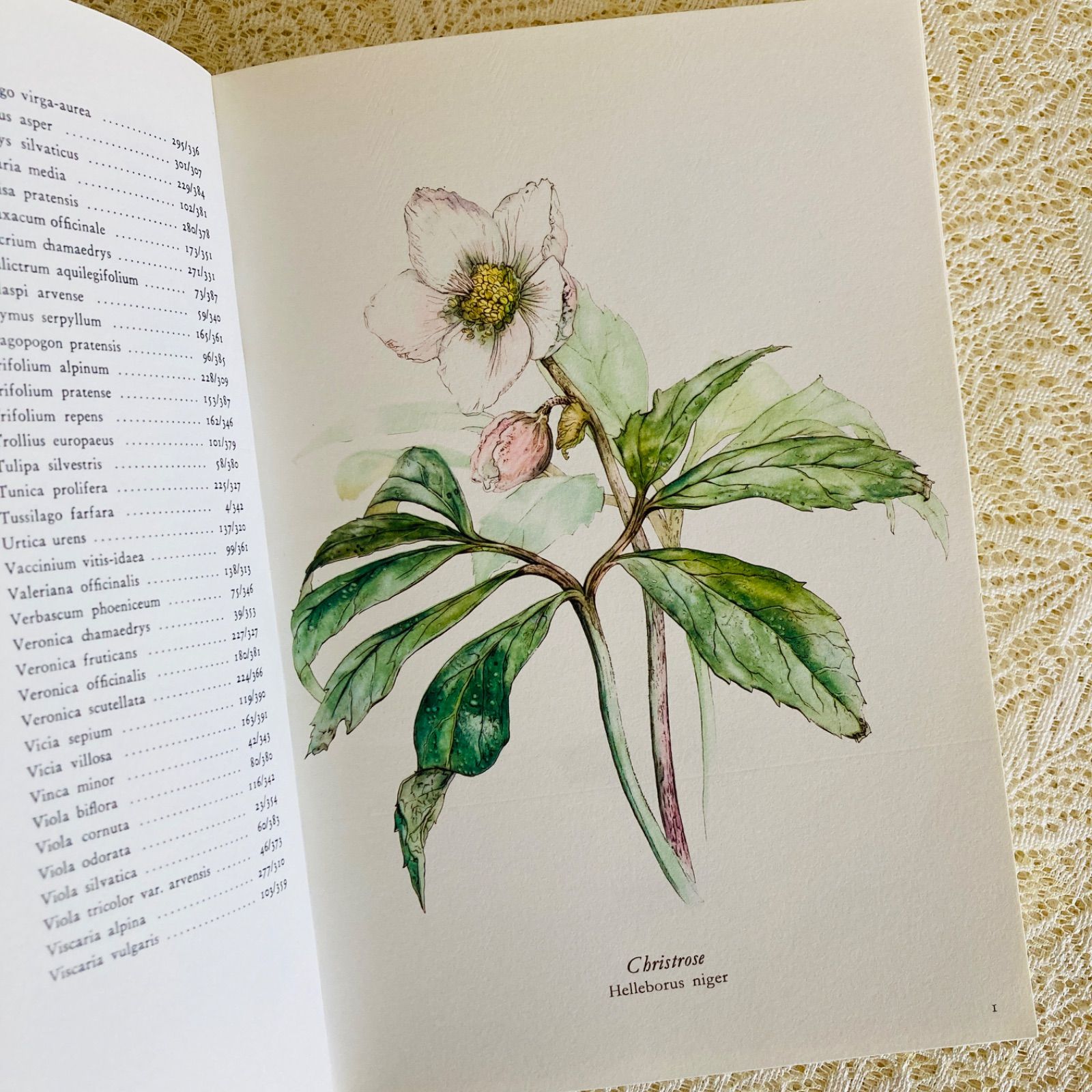 すずらん装丁の植物図鑑 美しい植物画304点収録 洋書・古書 - メルカリ