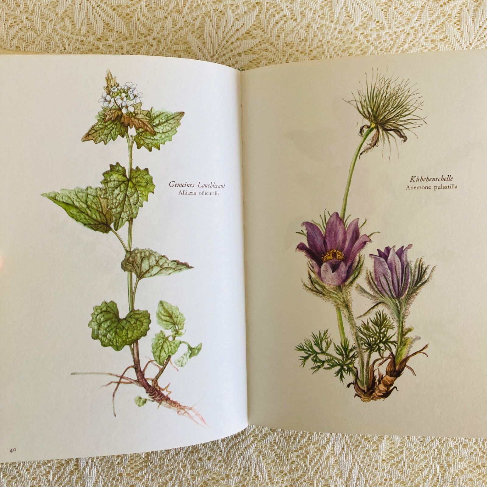 美しい植物画 Elsa Felsko 植物図鑑2冊 Blumen 洋書 すずらん すずらん装丁の植物図鑑 美しい植物画304点収録 洋書・古書 - メルカリ