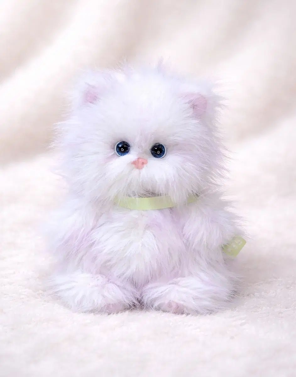 テディテイルズ 未開封 ブルーアイズ ぬいぐるみ レナキャット Sサイズ