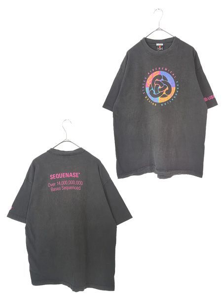 古着 90s USA製 USB 「Sequenase」 バイオケミカル サイエンス 企業 Tシャツ XL