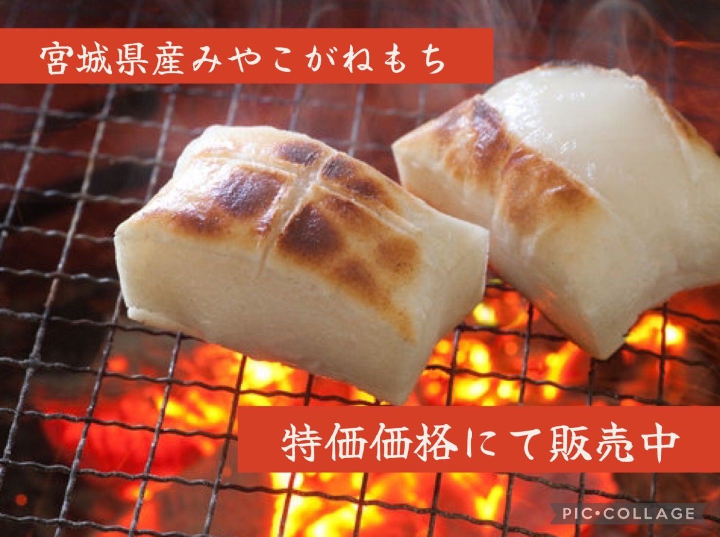 宮城県産 みやこがねもち米 30kg 令和7年産 精米/玄米 - メルカリ