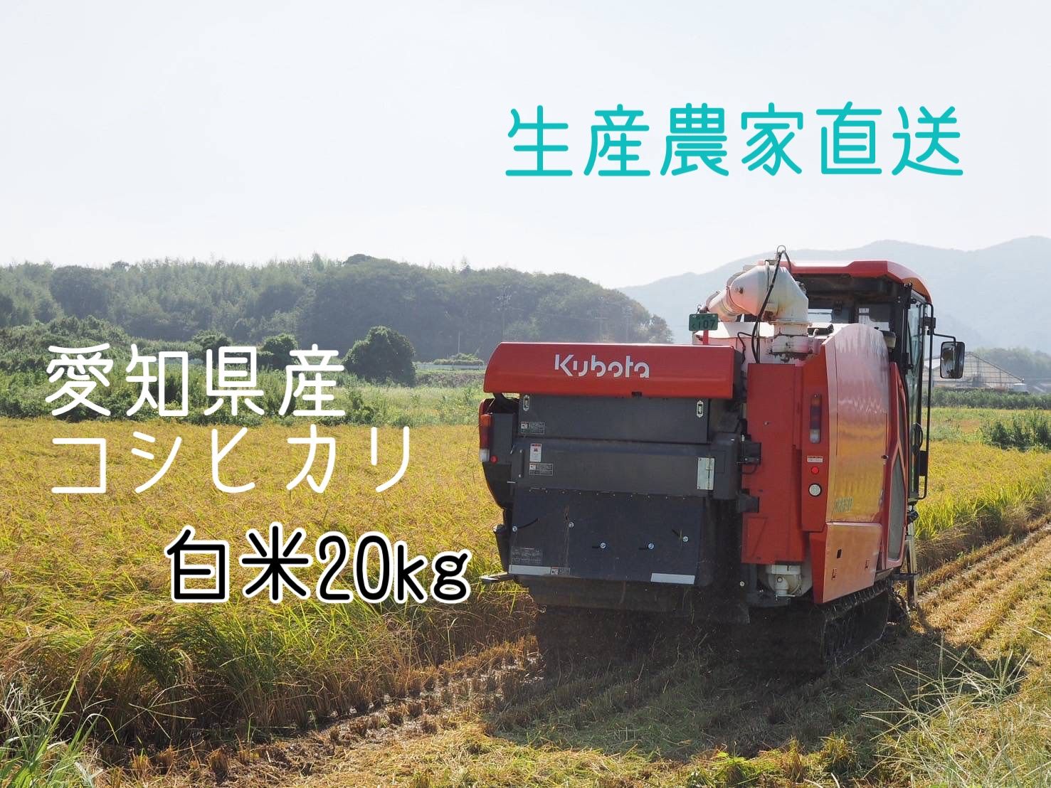 愛知県産コシヒカリ白米20kg｜産直・低農薬米 - メルカリ