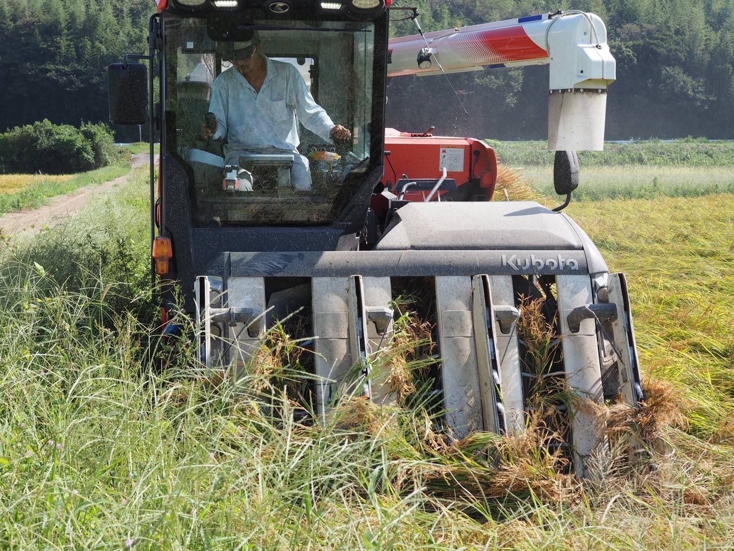 愛知県産コシヒカリ白米20kg｜産直・低農薬米 - メルカリ