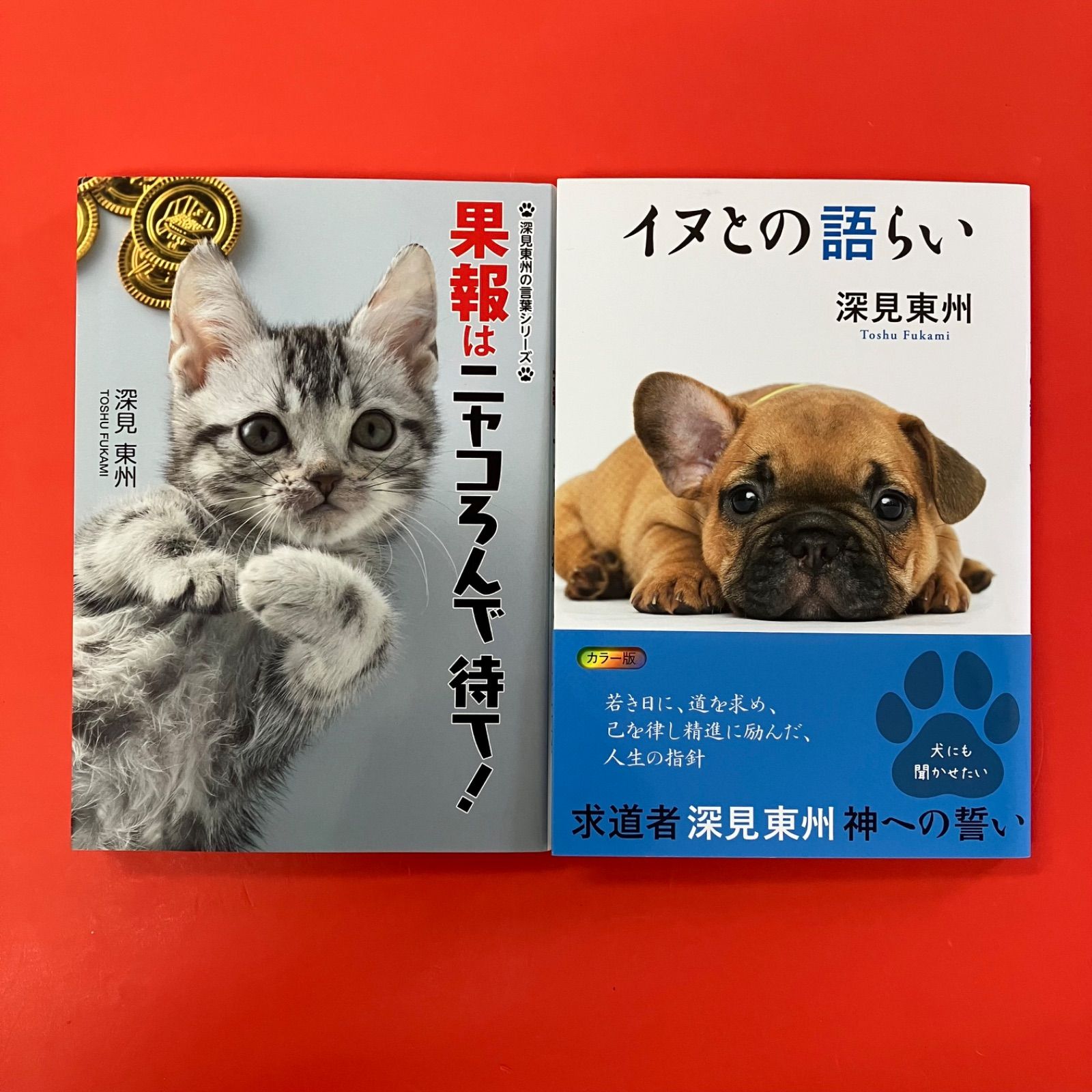 深見東州 単行本2冊セット ym_a13_6288 - メルカリ