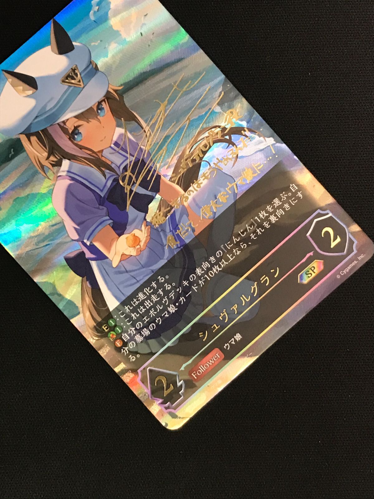 シャドウバース エボルヴ シャドバ シュヴァルグラン SP ECP01-SP09