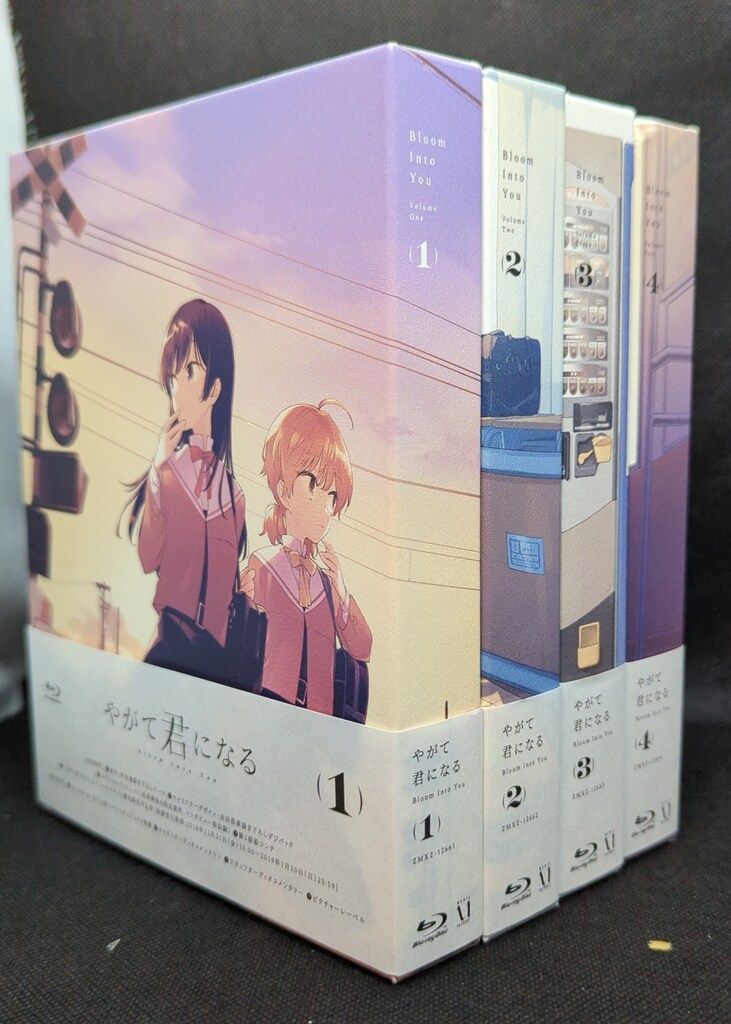 DVD やがて君になる DVD 全4巻セット 初回限定版