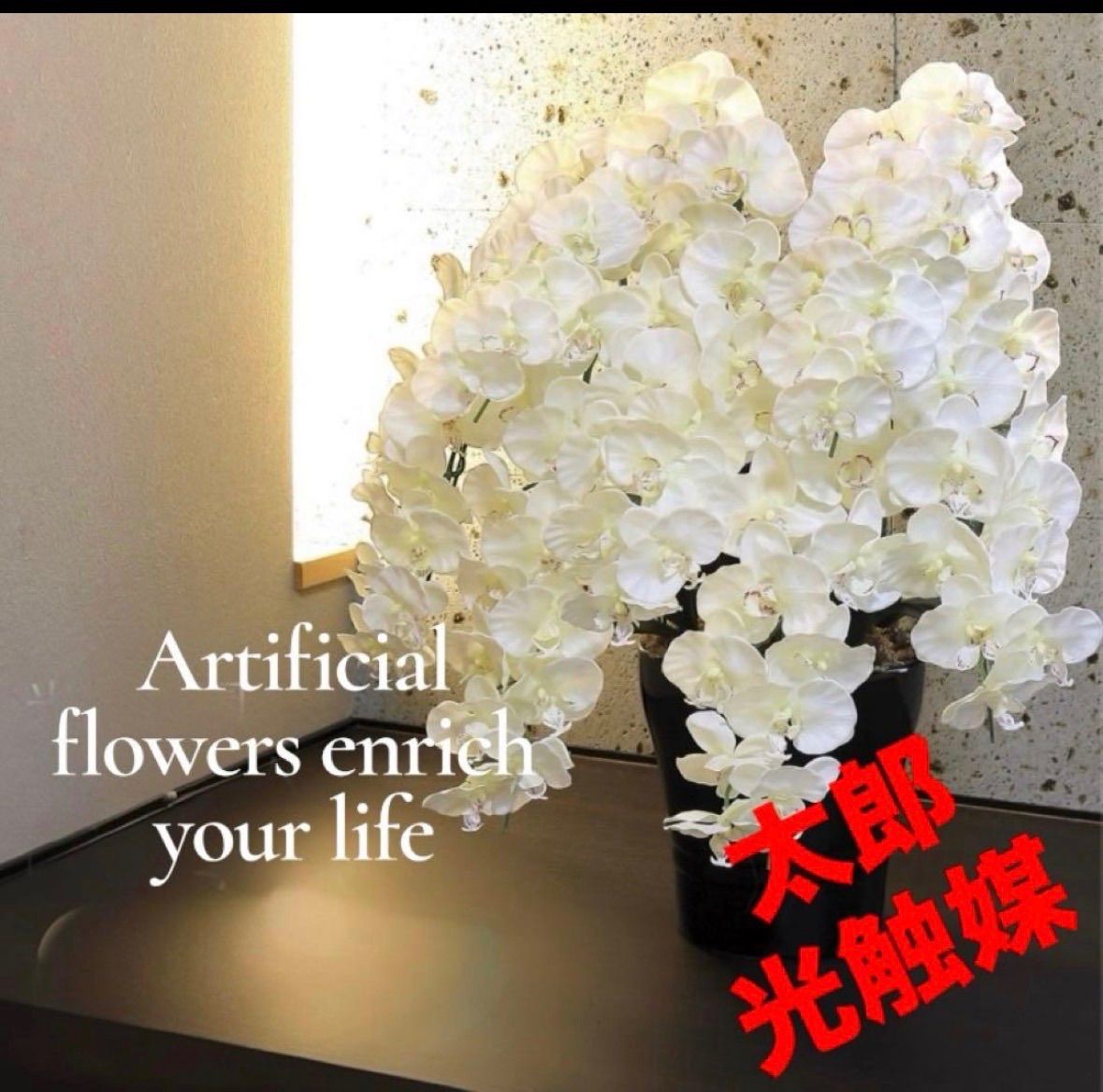 光触媒 観葉植物 ウォールグリーン フェイクグリーン プレミアム胡蝶蘭