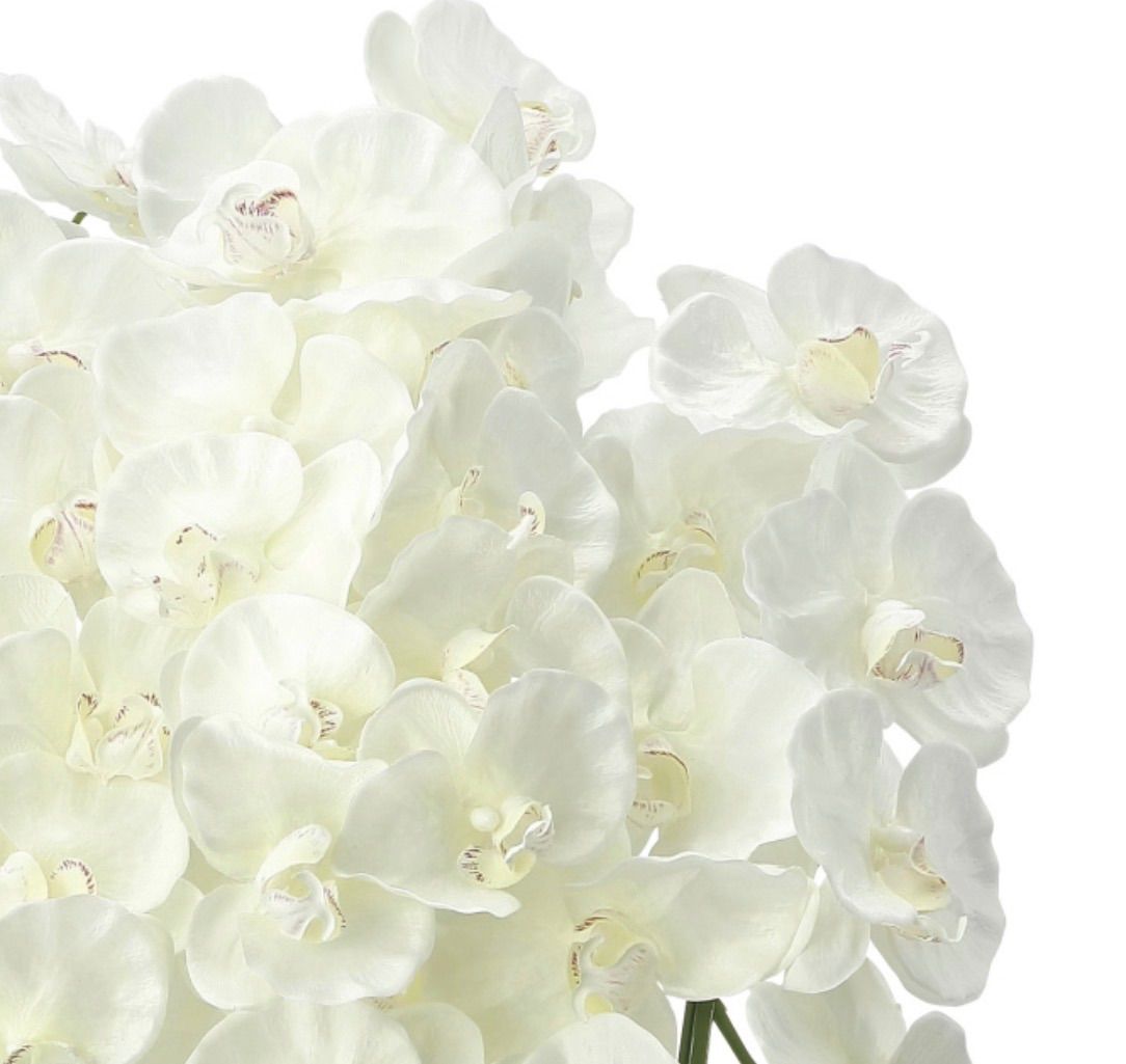 光触媒 観葉植物 ウォールグリーン フェイクグリーン プレミアム胡蝶蘭