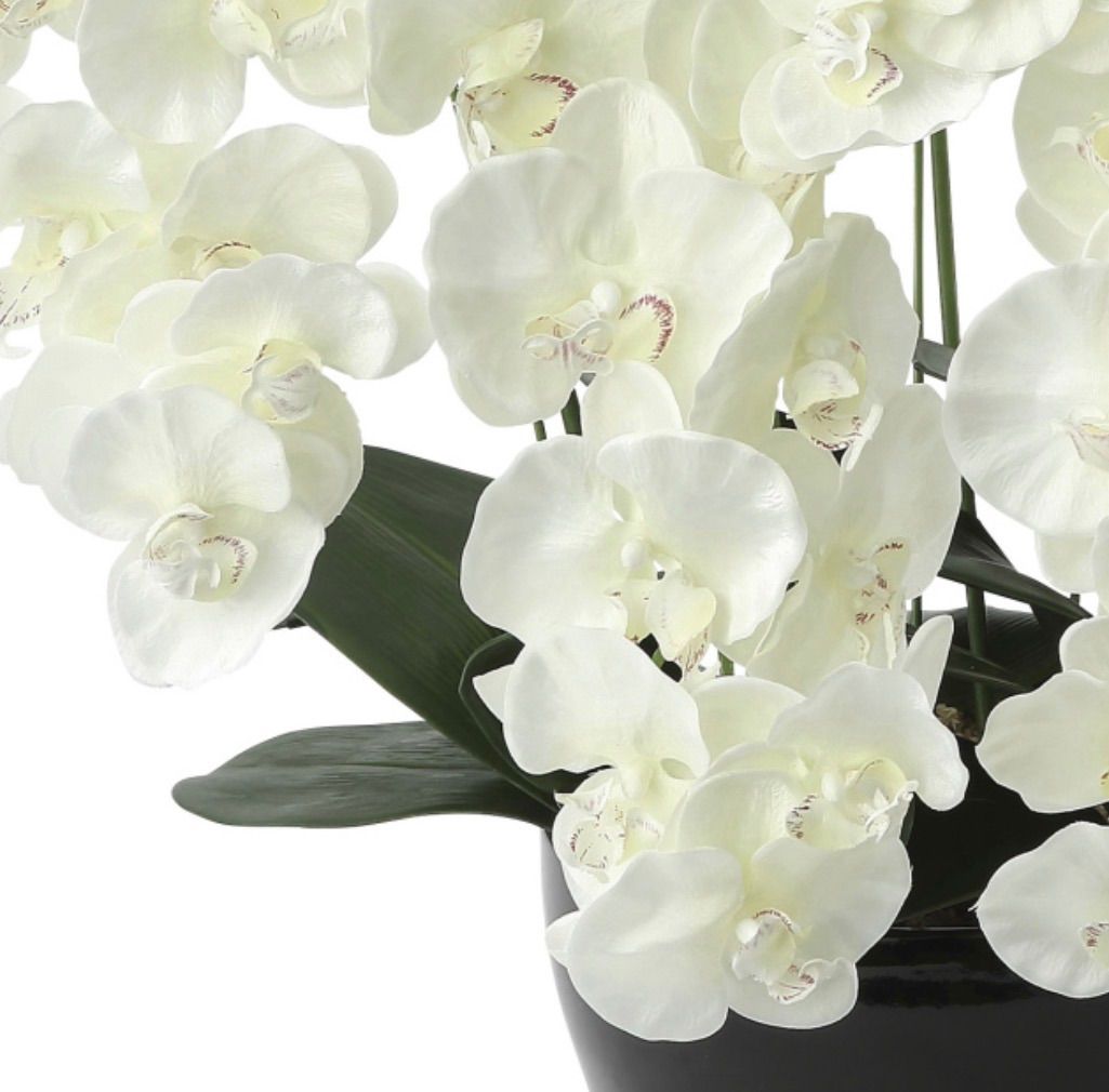 光触媒 観葉植物 ウォールグリーン フェイクグリーン プレミアム胡蝶蘭