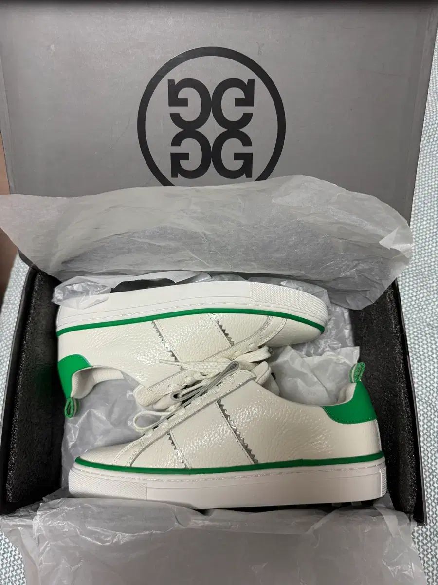 ジーフォア 킬티 ゴルフシューズ 8 245mm 新品