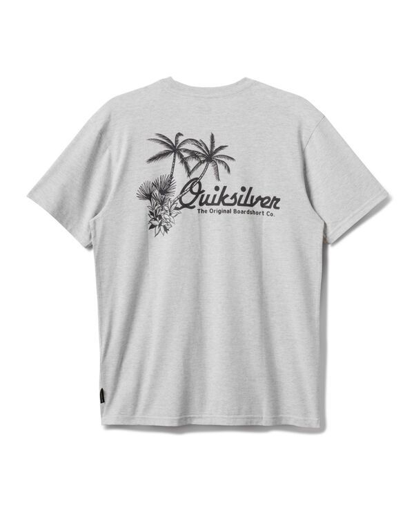 クイックシルバー メンズ トップス Tシャツ Quiksilver Mens Tropics Mod TShirt Silver White Heather ホワイト