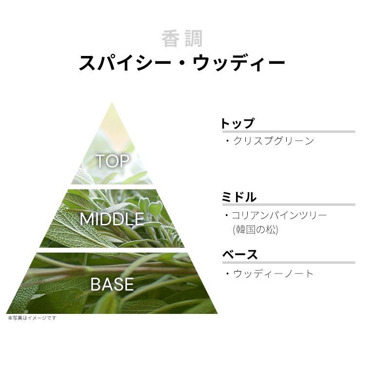 サンタ・マリア・ノヴェッラ アルバ ディ ソウル EDC・SP 50ml 香水 