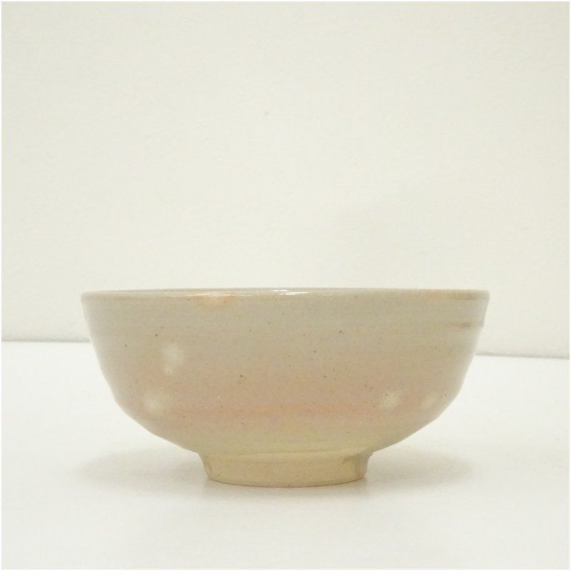 朝日焼 朝日窯造 松林豊斎 ホタルの絵茶碗（共箱） 茶道 抹茶 おしゃれ
