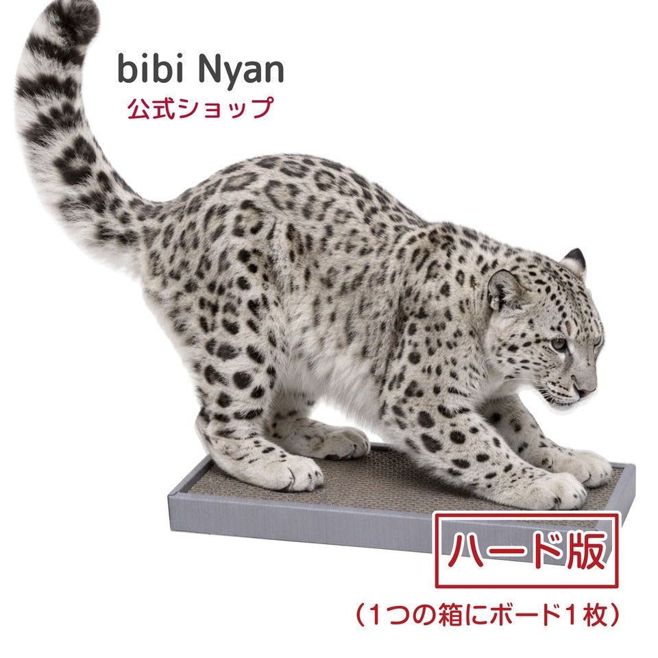 公式】新品 bibi Nyan ハード版 (1箱1枚入) ビビニャン ボックス型 爪